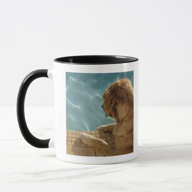 USA, Hawaii, Honolulu. Mug (Left)