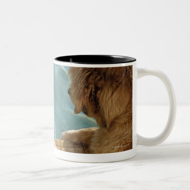 USA, Hawaii, Honolulu. Two-Tone Coffee Mug (Right)