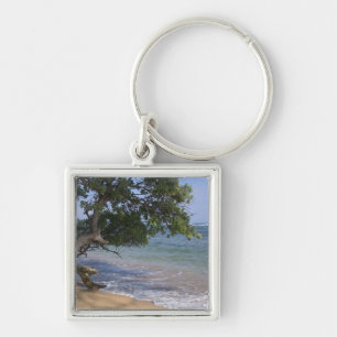 USA, Hawaii, Kauai, beach scenic. RF) Key Ring