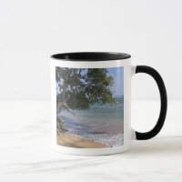USA, Hawaii, Kauai, beach scenic. RF)
