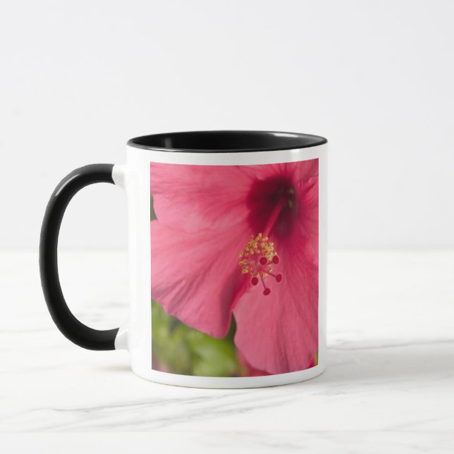 USA, Hawaii, Kauai, Hibiscus Mug (Left)