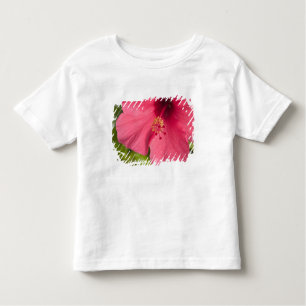 USA, Hawaii, Kauai, Hibiscus Toddler T-Shirt
