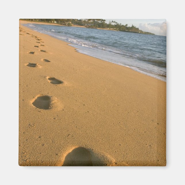 USA, Hawaii, Kauai, Kapa'a, beachfront. Magnet (Front)