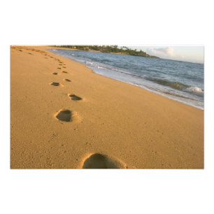 USA, Hawaii, Kauai, Kapa'a, beachfront. Photo Print