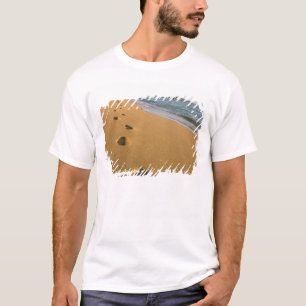 USA, Hawaii, Kauai, Kapa'a, beachfront. T-Shirt