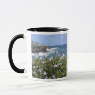 USA, Hawaii, Kauai, near Kapaa, northwest Mug