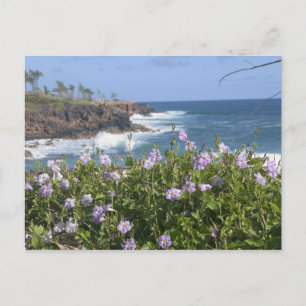 USA, Hawaii, Kauai, near Kapaa, northwest Postcard