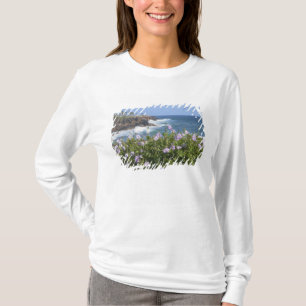 USA, Hawaii, Kauai, near Kapaa, northwest T-Shirt