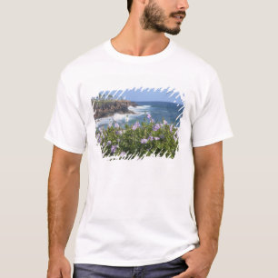 USA, Hawaii, Kauai, near Kapaa, northwest T-Shirt