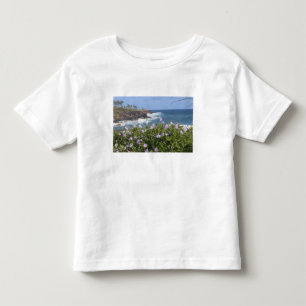 USA, Hawaii, Kauai, near Kapaa, northwest Toddler T-Shirt