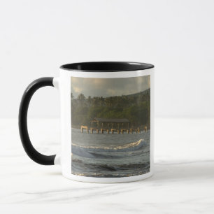 USA, Hawaii, Kauai, southwest coast, near Mug