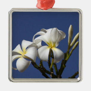 USA, Hawaii, Kauai, white plumeria. Metal Tree Decoration