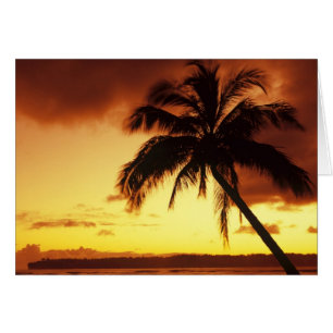 USA, Hawaii, Maui, Colourful sunset in a
