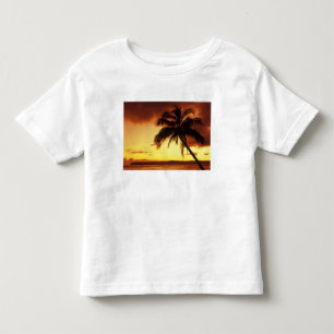 USA, Hawaii, Maui, Colourful sunset in a Toddler T-Shirt