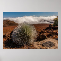 USA, Hawaii, Maui, Haleakala National Park