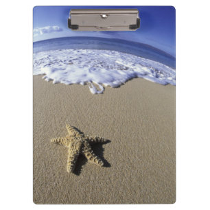 USA, Hawaii, Maui, Makena Beach, Starfish and Clipboard