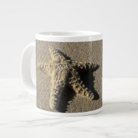 USA, Hawaii, Maui, Makena Beach, Starfish and