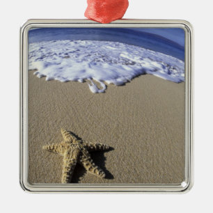 USA, Hawaii, Maui, Makena Beach, Starfish and Metal Tree Decoration
