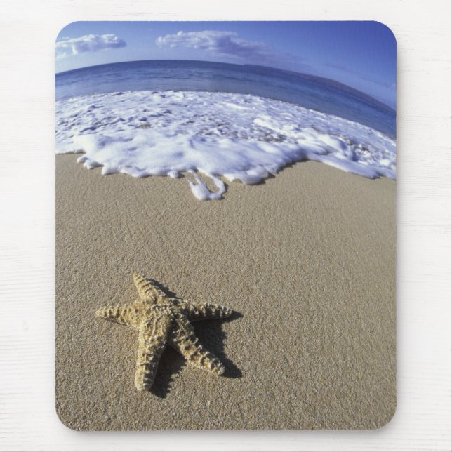 USA, Hawaii, Maui, Makena Beach, Starfish and Mouse Pad (Front)