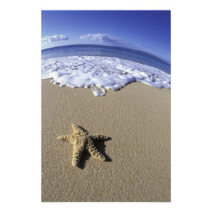 USA, Hawaii, Maui, Makena Beach, Starfish and Photo Print