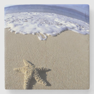 USA, Hawaii, Maui, Makena Beach, Starfish and Stone Coaster