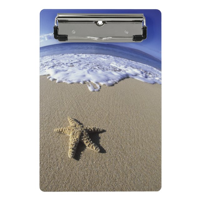 USA, Hawaii, Maui, Makena Beach, Starfish Mini Clipboard (Front)