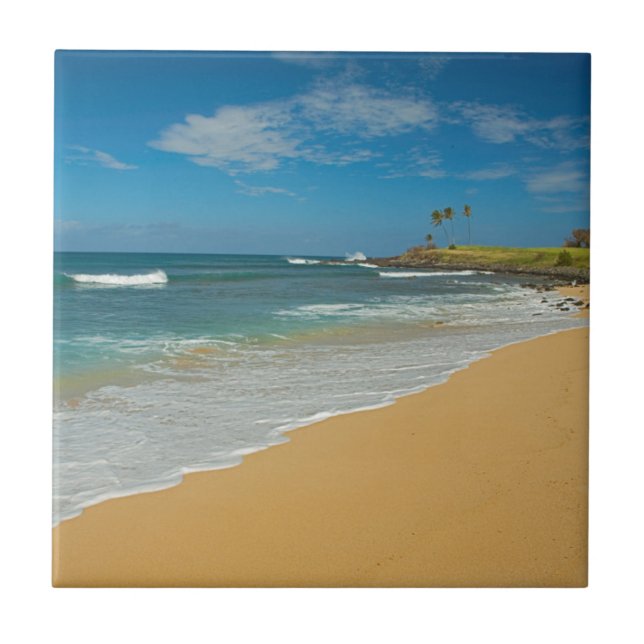 USA, Hawaii, Molokai Island, Three Mile Beach Tile (Front)