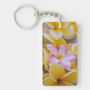 USA, Hawaii, Oahu, Plumeria flowers in bloom 1 Key Ring