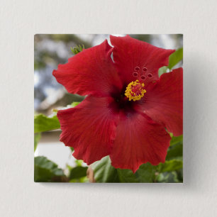 USA, Hawaii, Oahu. The Hibiscus is the 15 Cm Square Badge