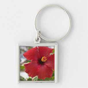 USA, Hawaii, Oahu. The Hibiscus is the Key Ring