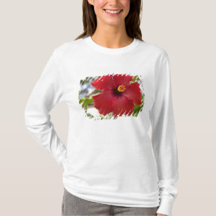 USA, Hawaii, Oahu. The Hibiscus is the T-Shirt