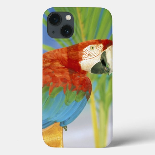 USA, Hawaii. Parrot Case-Mate iPhone Case (Back)