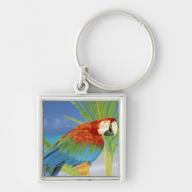 USA, Hawaii. Parrot Key Ring (Front)