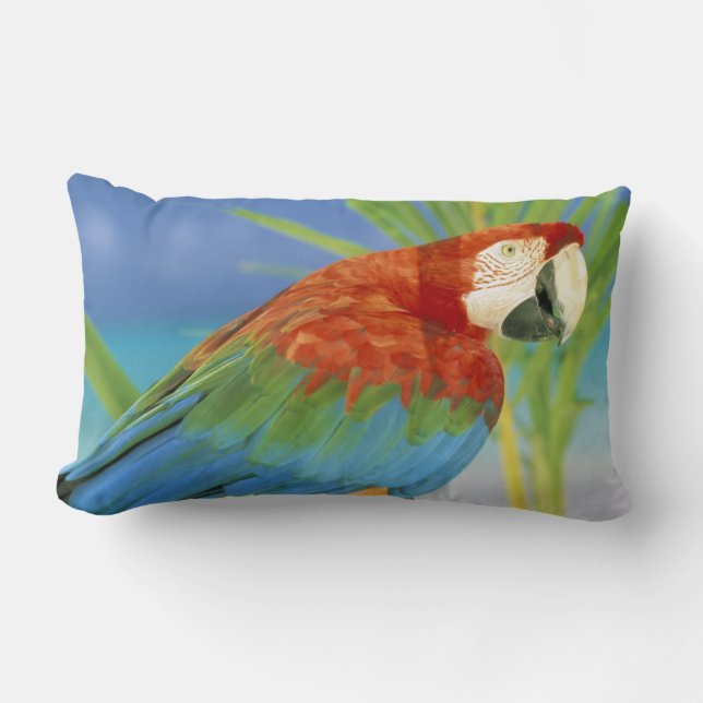 USA, Hawaii. Parrot Lumbar Cushion (Front)