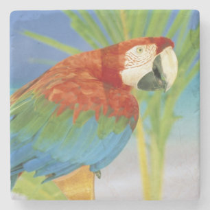 USA, Hawaii. Parrot Stone Coaster