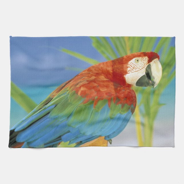 USA, Hawaii. Parrot Tea Towel (Horizontal)
