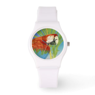 USA, Hawaii. Parrot Watch
