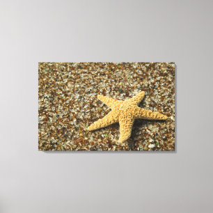 USA, HI, Kauai, Glass Beach with Star fish Canvas Print