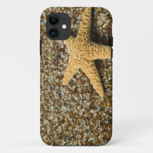 USA, HI, Kauai, Glass Beach with Star fish iPhone 11 Case