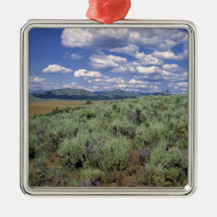 USA, Idaho, Camas Co. Sagebrush and lupine Metal Tree Decoration