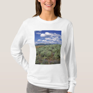 USA, Idaho, Camas Co. Sagebrush and lupine T-Shirt