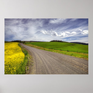 USA, Idaho, Idaho County, Canola Field Poster