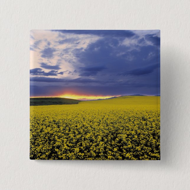 USA, Idaho, Swan Valley. A fiery sunset erupts 15 Cm Square Badge (Front)