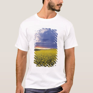USA, Idaho, Swan Valley. A fiery sunset erupts T-Shirt