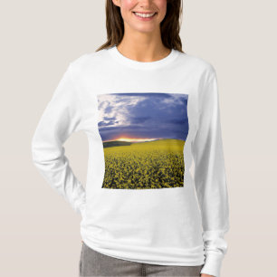 USA, Idaho, Swan Valley. A fiery sunset erupts T-Shirt