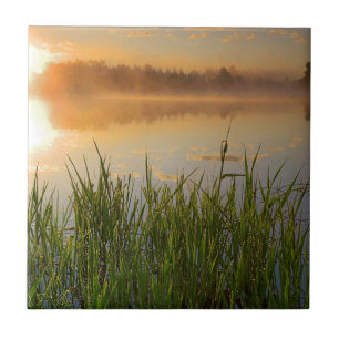 USA, Idaho, Winchester Lake State Park, Lapwai Tile