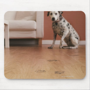 USA, Illinois, Metamora, Close-up of floor with Mouse Pad