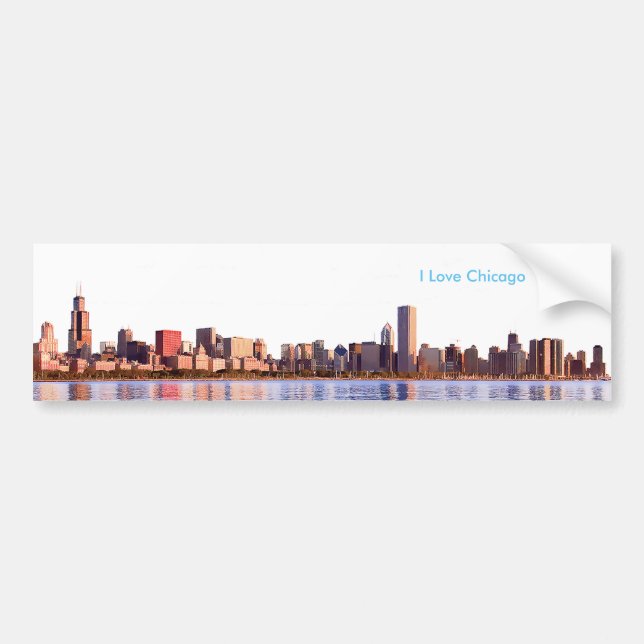USA image for Bumper Sticker (Front)