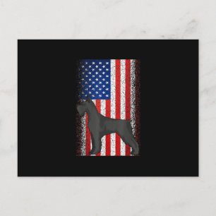 USA Independence Day July 4th American Flag Schnau Postcard