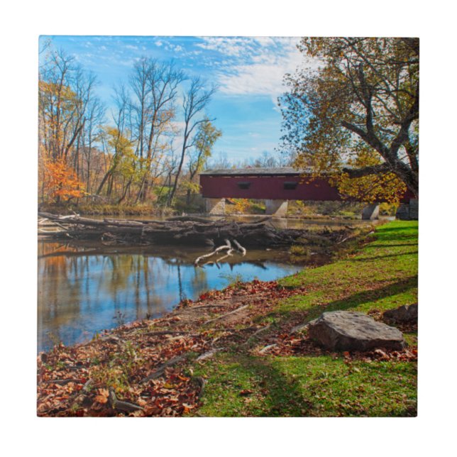 USA, Indiana, Cataract Falls State Recreation Tile (Front)